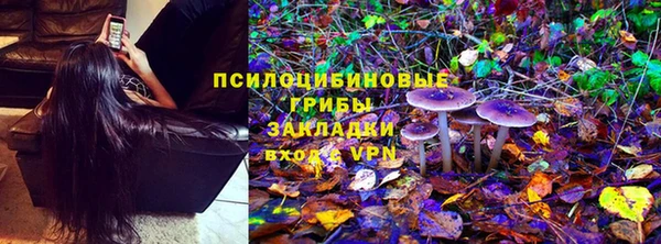 крисы Белая Холуница