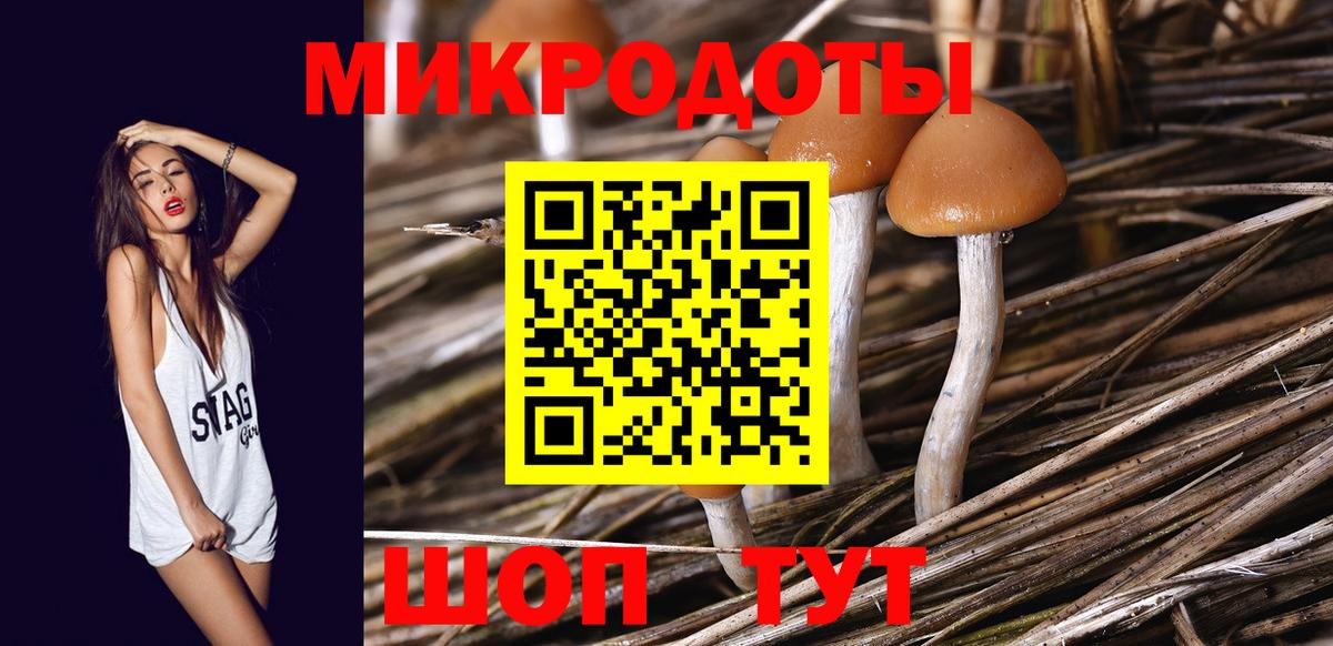 Псилоцибиновые грибы Cubensis Югорск
