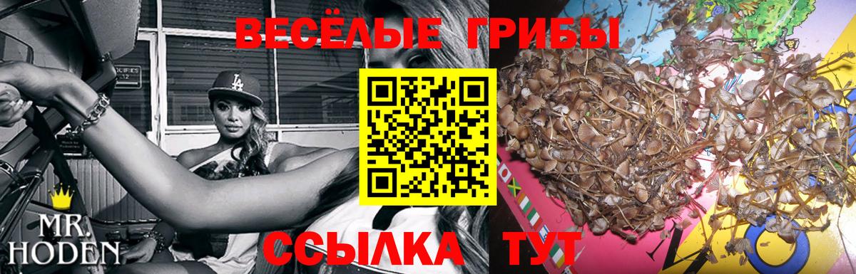 дарнет шоп  Вход с VPN  Югорск  Галлюциногенные грибы прущие грибы 